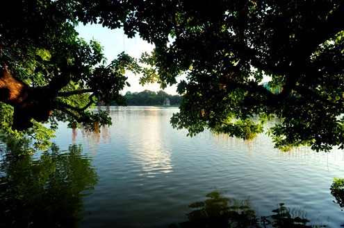 Hồ Gươm có hai cây lộc vừng nở đẹp hàng năm